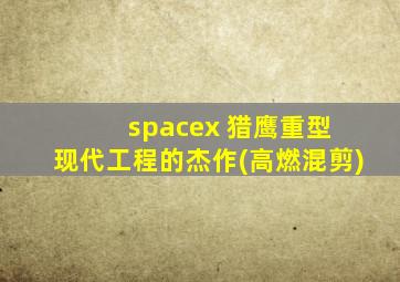 spacex 猎鹰重型 现代工程的杰作(高燃混剪)